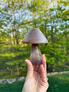 Natural Agate Mushroom Natural Decor